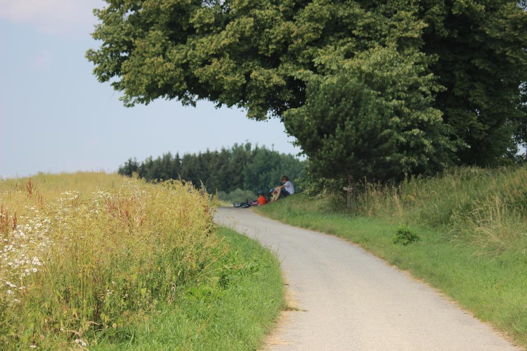 Penzion Keramika Jindrichuv Hradec Bagian luar foto